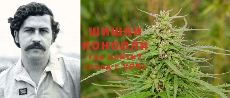 Шишки марихуана OG Kush  Торжок 